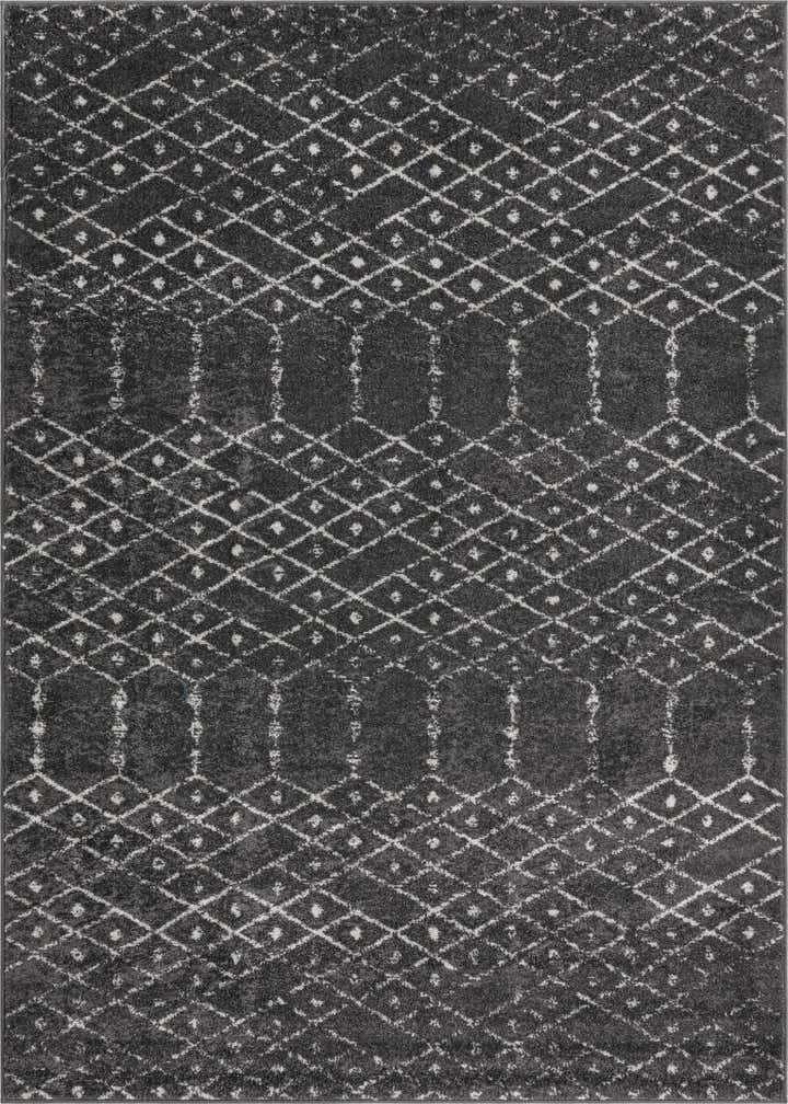 6' x 9' Paxon Trellis Rug