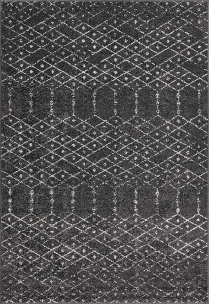 6' x 9' Paxon Trellis Rug