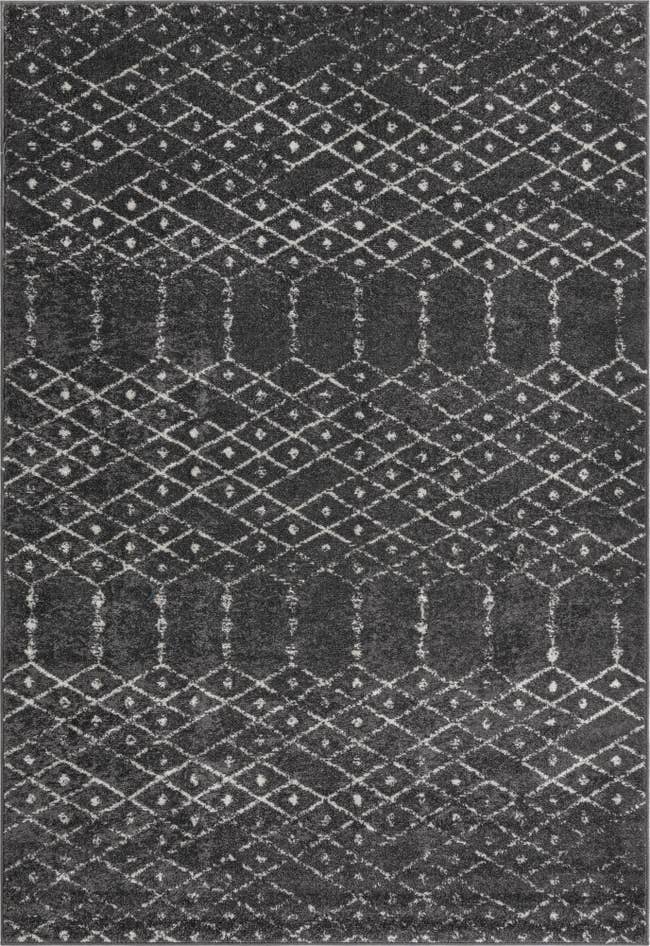 Detail image of 6' x 9' Paxon Trellis Rug