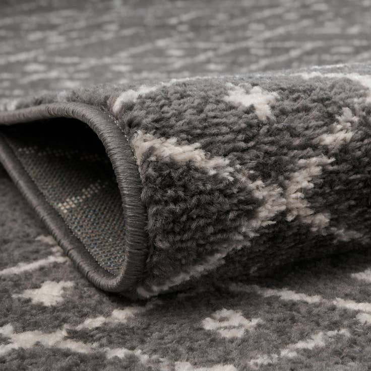 Detail image of 2' x 3' Paxon Trellis Rug
