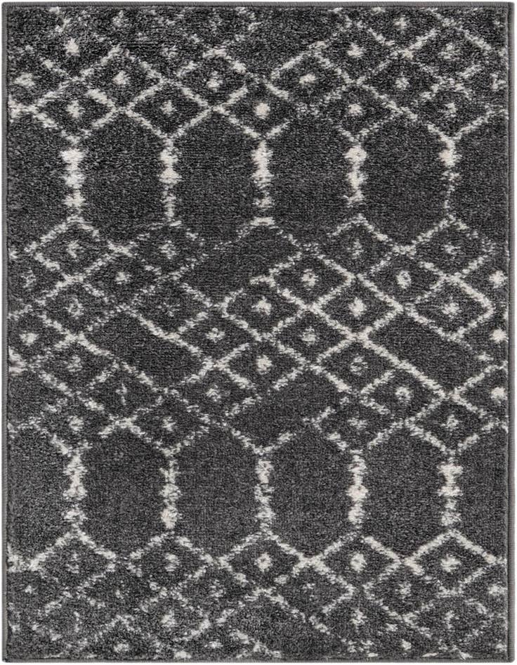 Detail image of 2' x 3' Paxon Trellis Rug