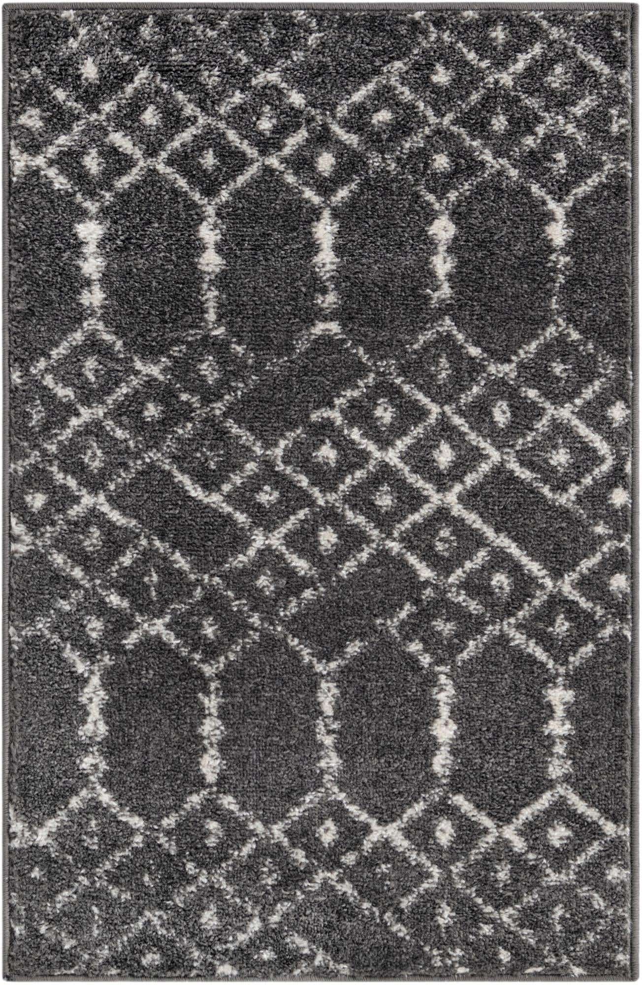 2' x 3' Paxon Trellis Rug