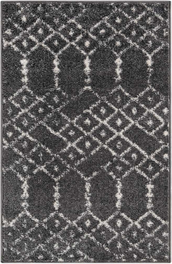 2' x 3' Paxon Trellis Rug