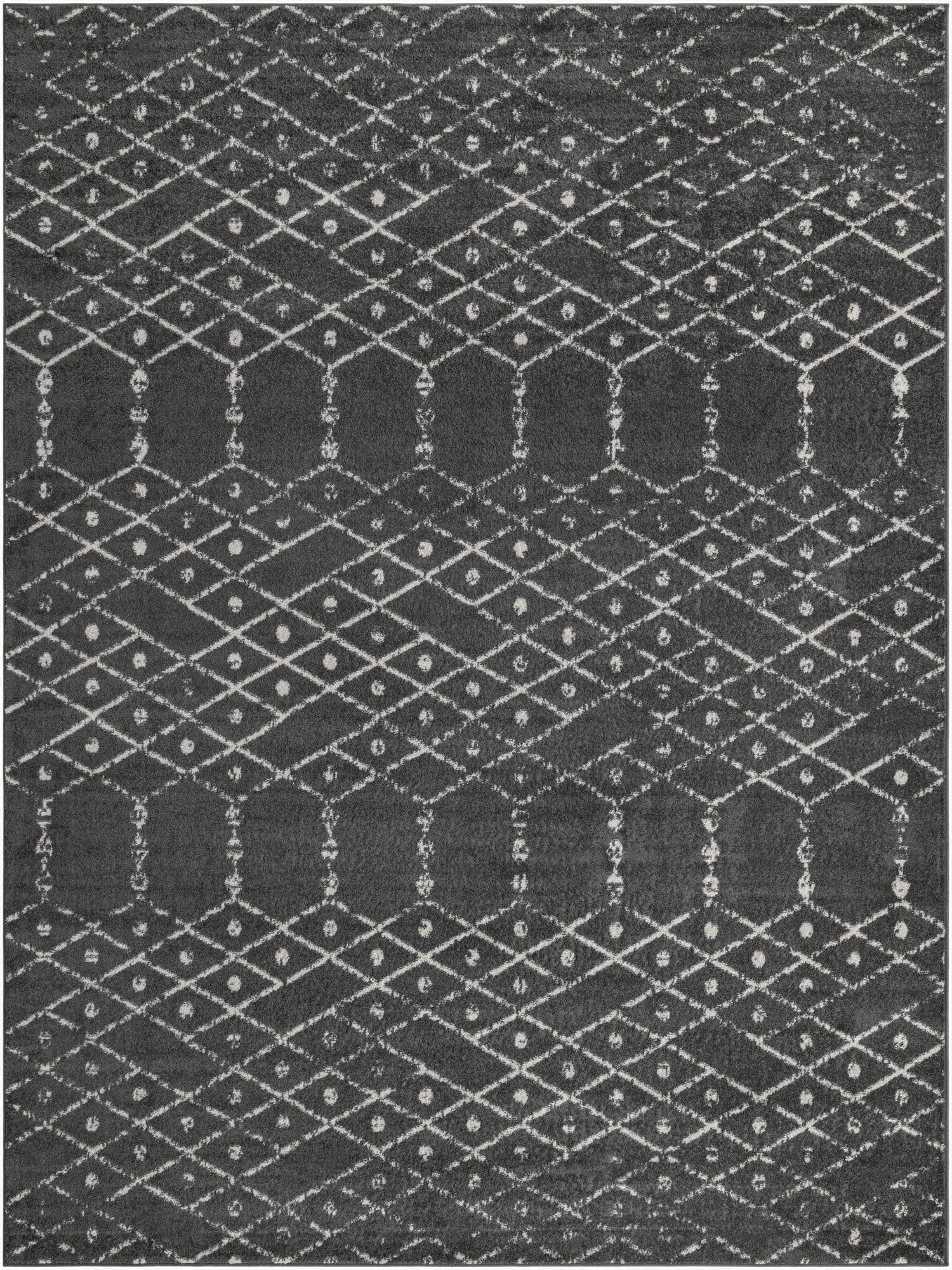 9' x 12' Paxon Trellis Rug