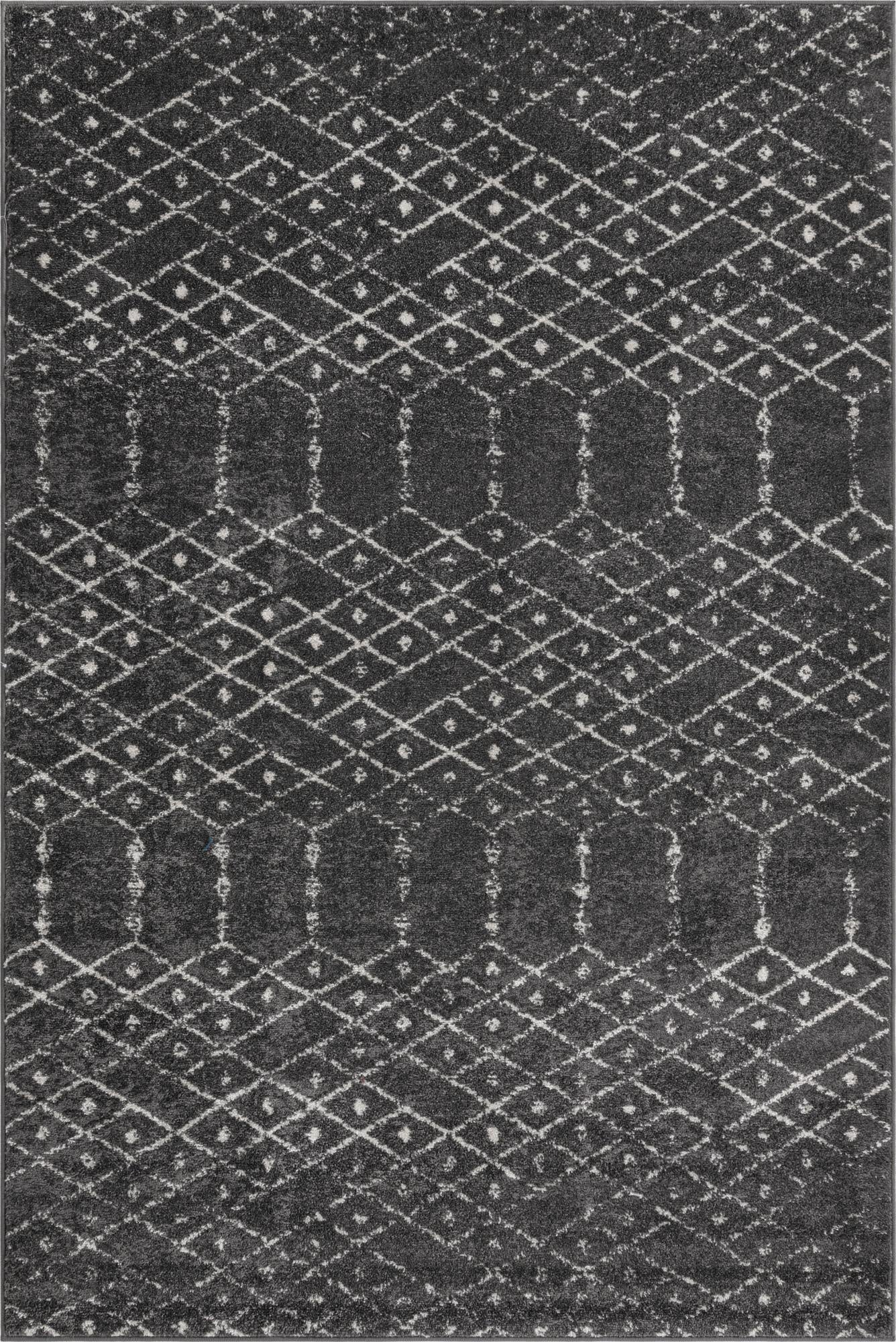 Primary image 4' x 6' Paxon Trellis Rug