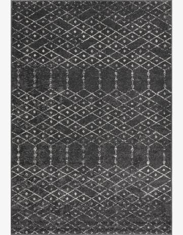6' x 9' Paxon Trellis Rug