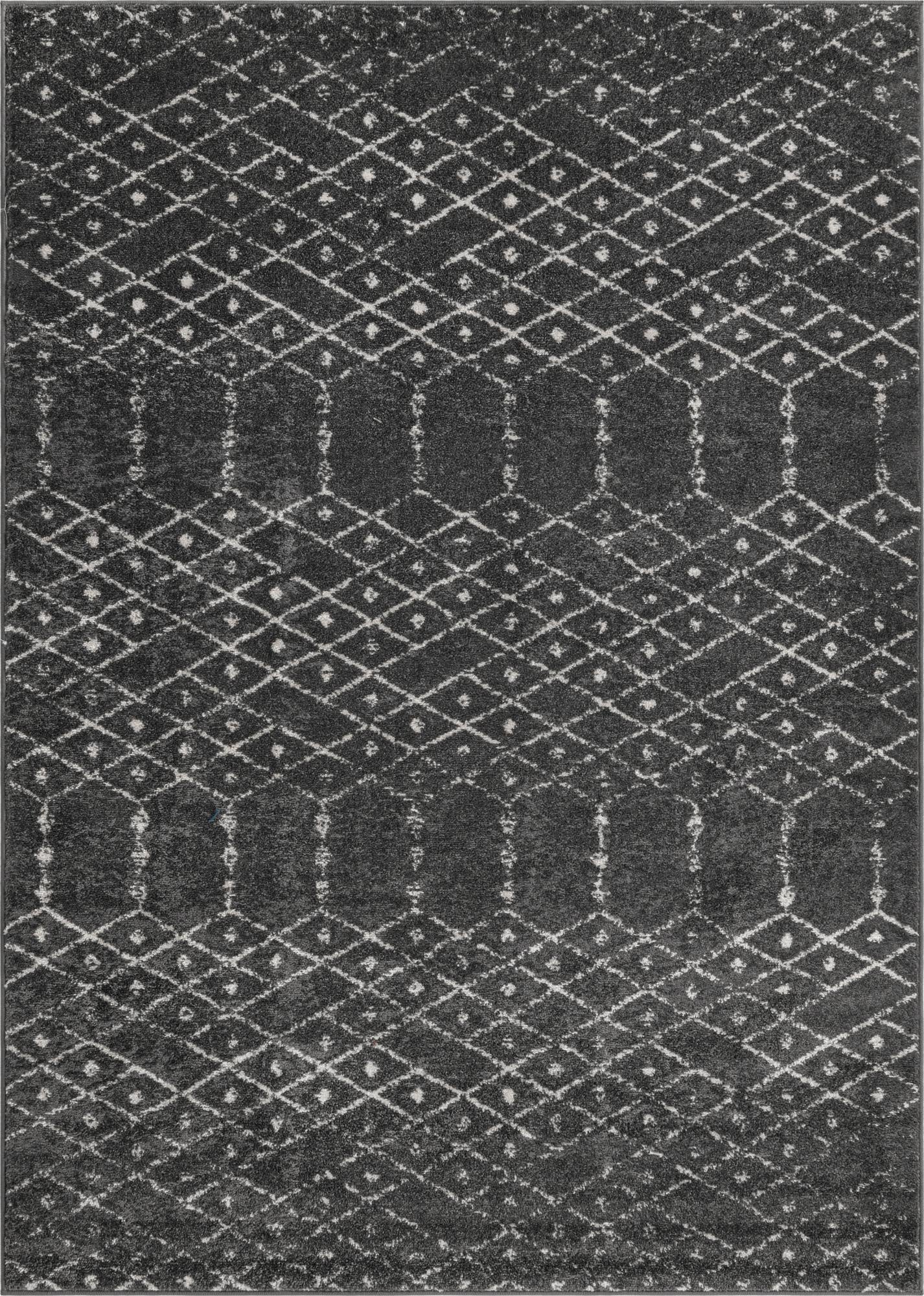 7' x 10' Paxon Trellis Rug