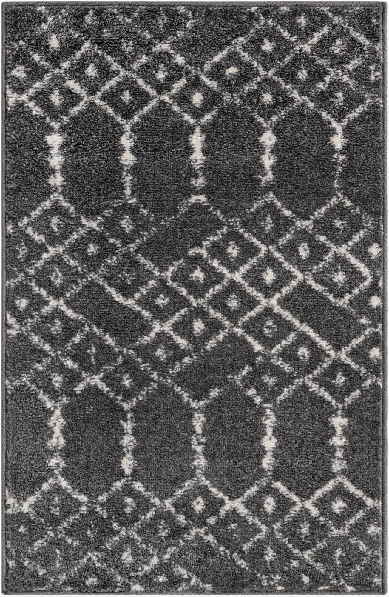 Primary image  2' x 3' Paxon Trellis Rug