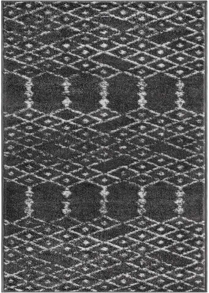 2' x 6' Paxon Trellis Runner Rug