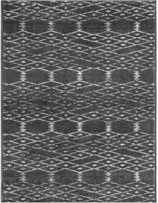 Detail image of 2' x 8' Paxon Trellis Runner Rug