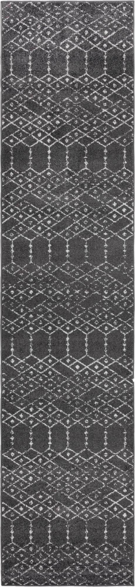 Primary image 3' x 13' Paxon Trellis Runner Rug