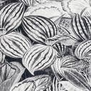 Rug Charcoal Gray Swatch link