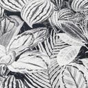 Rug Charcoal Swatch link