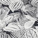 Color variant