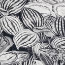 Rug Charcoal Swatch link