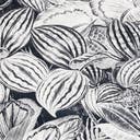 Rug Charcoal Swatch link