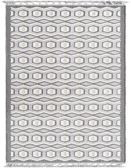Detail image of 2' 7 x 12' Arlo Runner Rug
