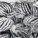 Rug Charcoal Swatch link