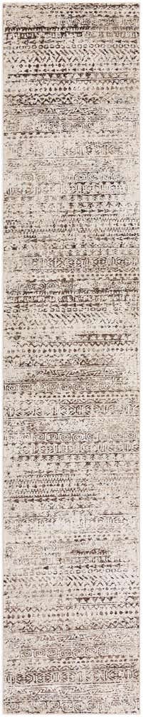 2' 6 x 14' Hermitage Runner Rug