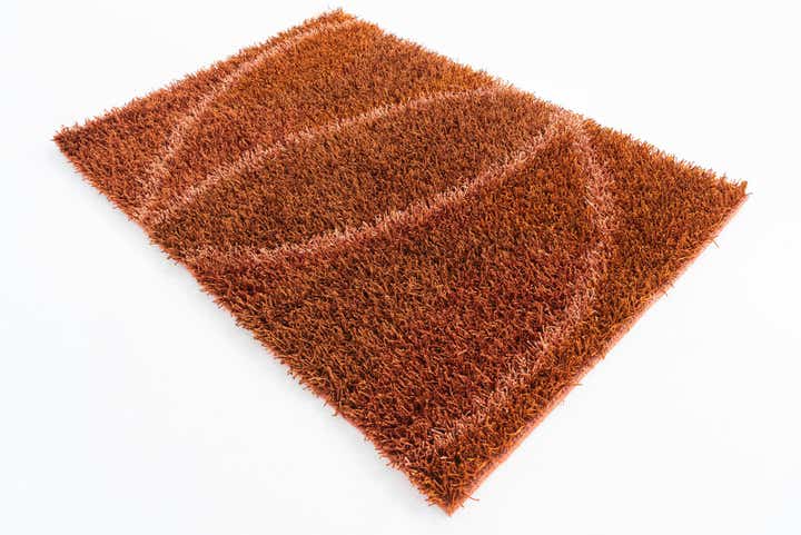 4' 2 x 5' 9 Hand Knotted Two-Tone Shag Rug