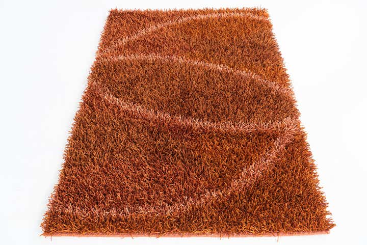 4' 2 x 5' 9 Hand Knotted Two-Tone Shag Rug