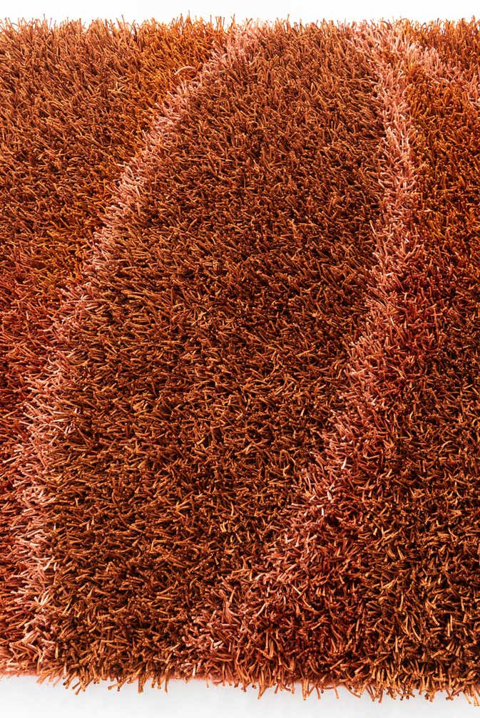 4' 2 x 5' 9 Hand Knotted Two-Tone Shag Rug