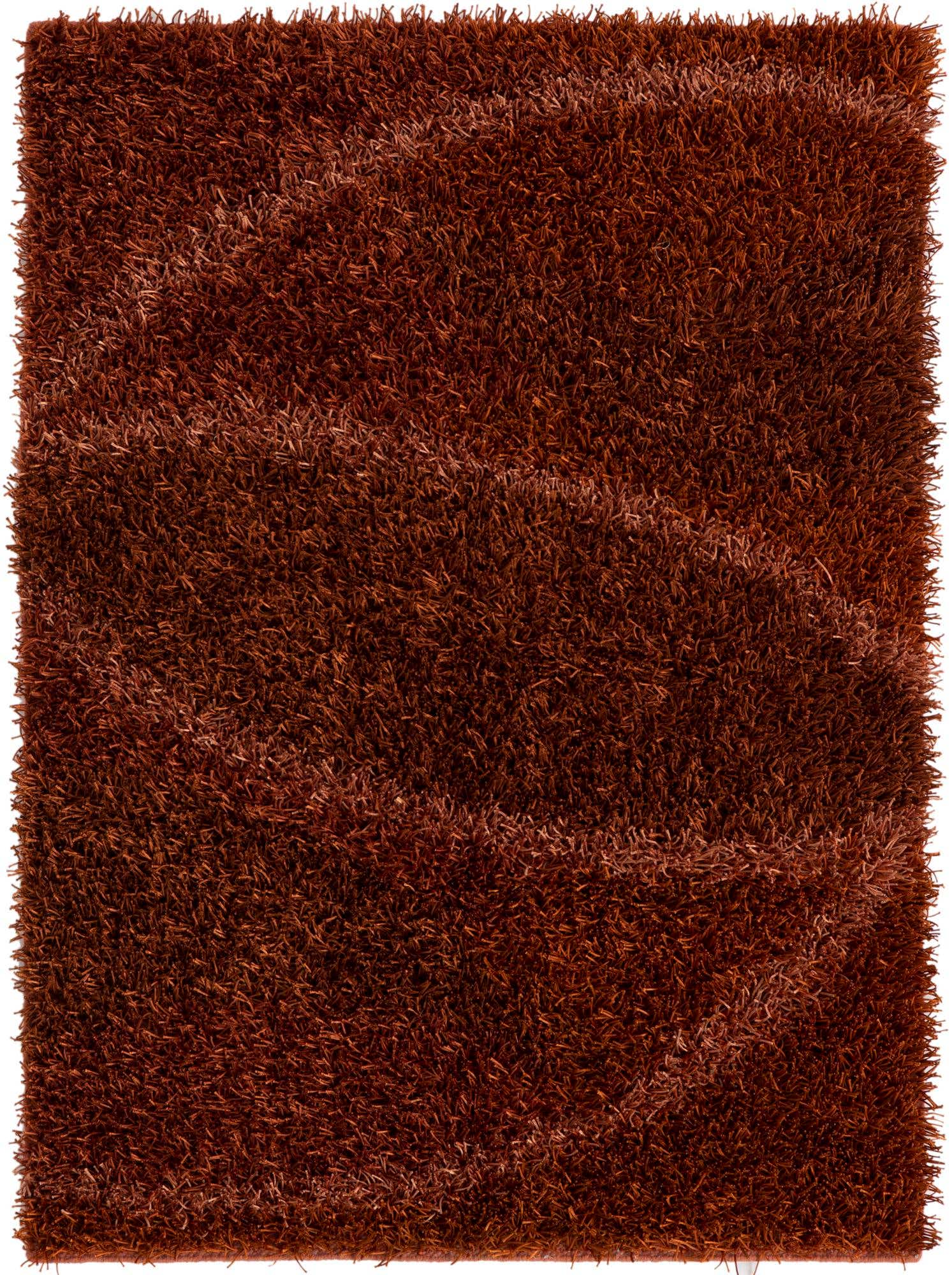 4' 2 x 5' 9 Hand Knotted Two-Tone Shag Rug