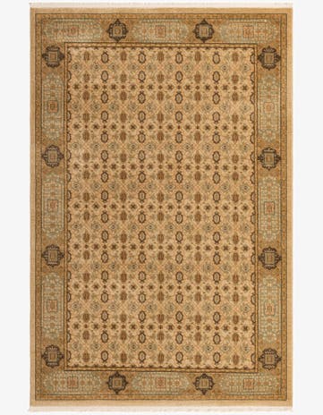 6' x 9' Amina Rug