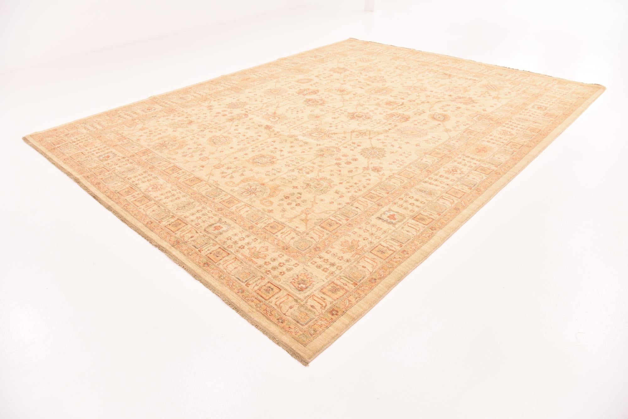10' 1 x 13' 1 Hand Knotted Ariana Ziegler Rug