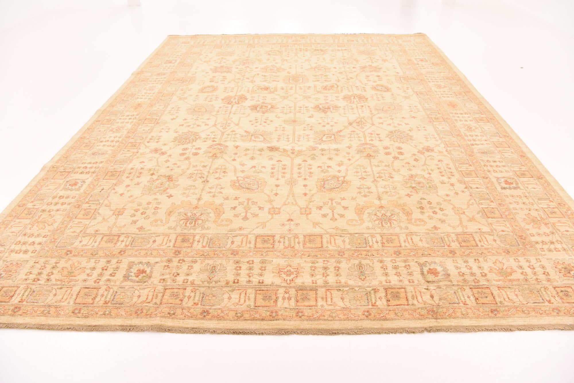 10' 1 x 13' 1 Hand Knotted Ariana Ziegler Rug
