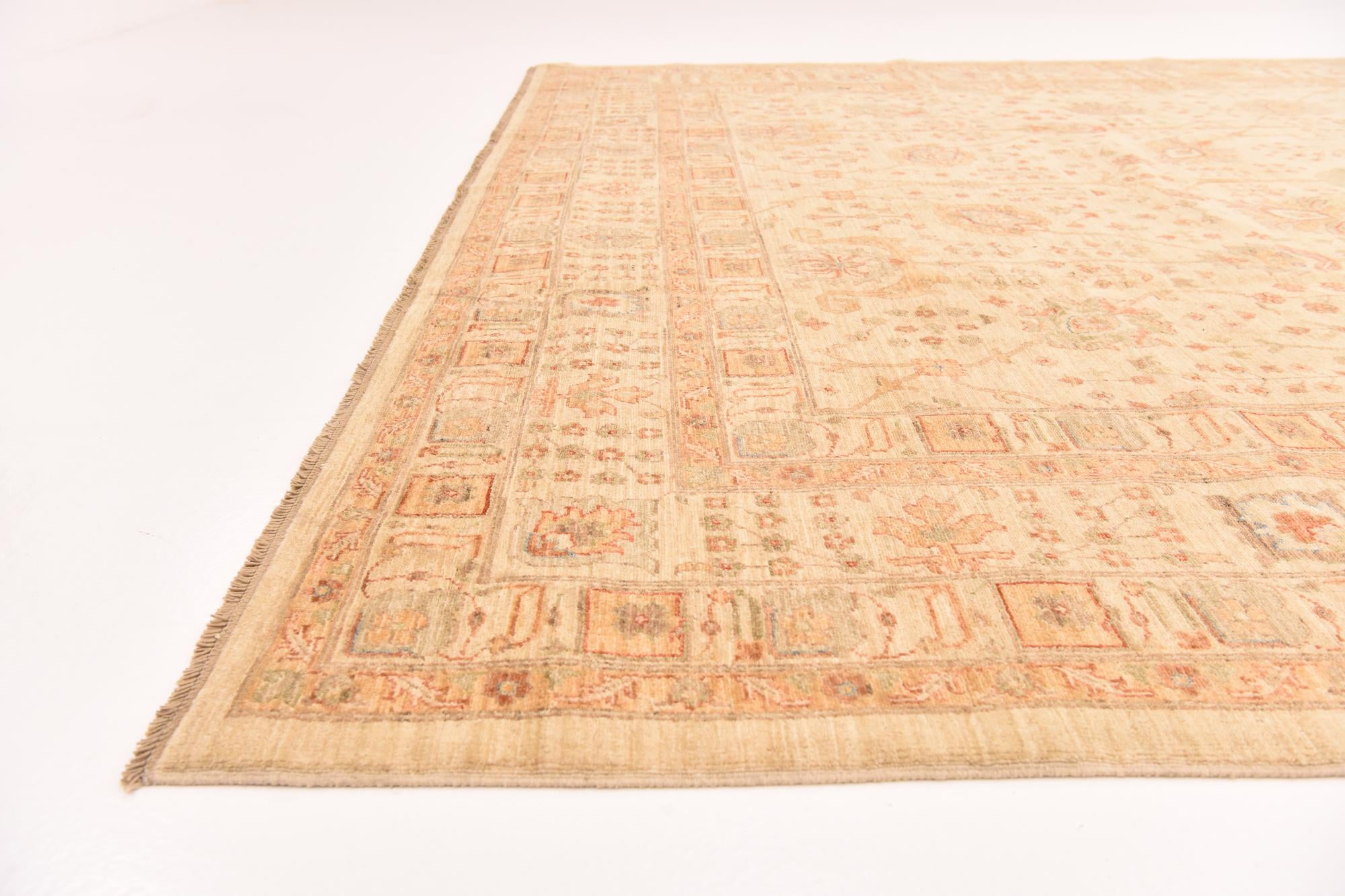 10' 1 x 13' 1 Hand Knotted Ariana Ziegler Rug