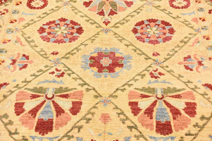 6' 10 x 10' 4 Hand Knotted Ariana Ziegler Oriental Rug