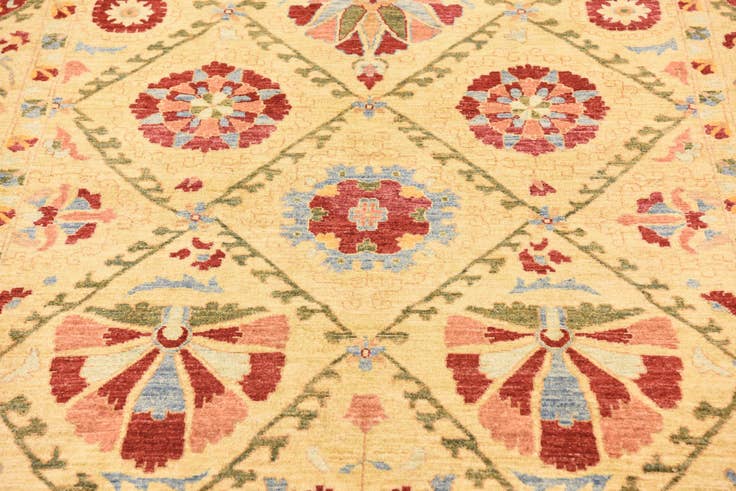Detail image of 6' 10 x 10' 4 Hand Knotted Ariana Ziegler Oriental Rug
