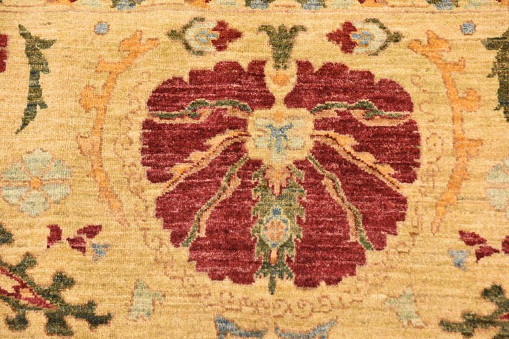 Detail image of 6' 10 x 10' 4 Hand Knotted Ariana Ziegler Oriental Rug