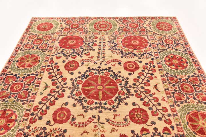 6' 1 x 8' 9 Hand Knotted Ariana Ziegler Oriental Rug