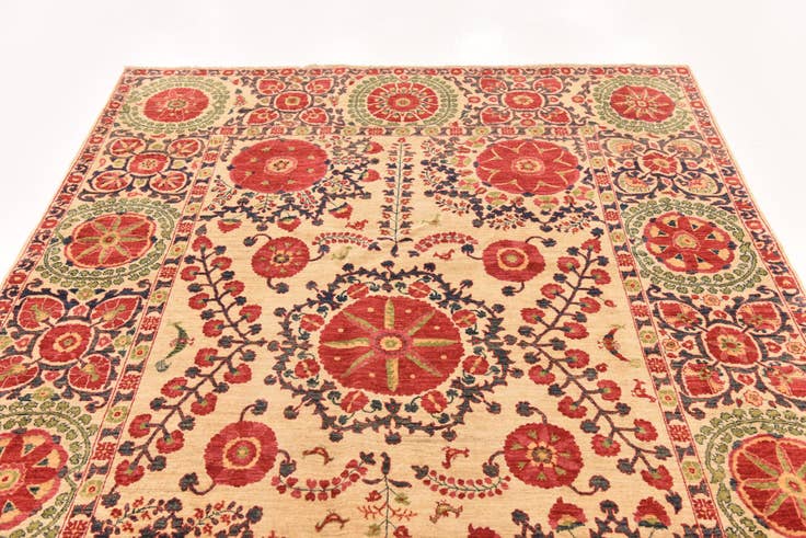 Detail image of 6' 1 x 8' 9 Hand Knotted Ariana Ziegler Oriental Rug