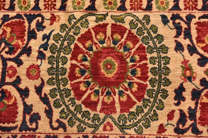 6' 1 x 8' 9 Hand Knotted Ariana Ziegler Oriental Rug