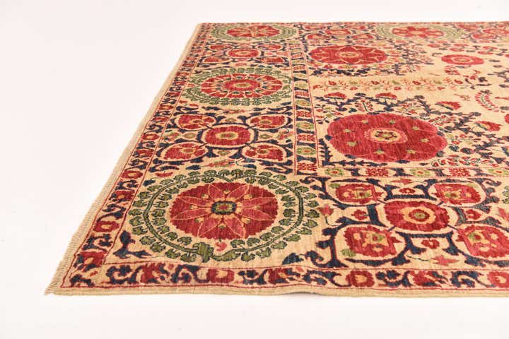 6' 1 x 8' 9 Hand Knotted Ariana Ziegler Oriental Rug