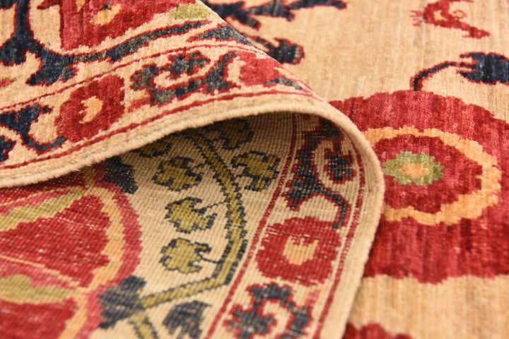 6' 1 x 8' 9 Hand Knotted Ariana Ziegler Oriental Rug