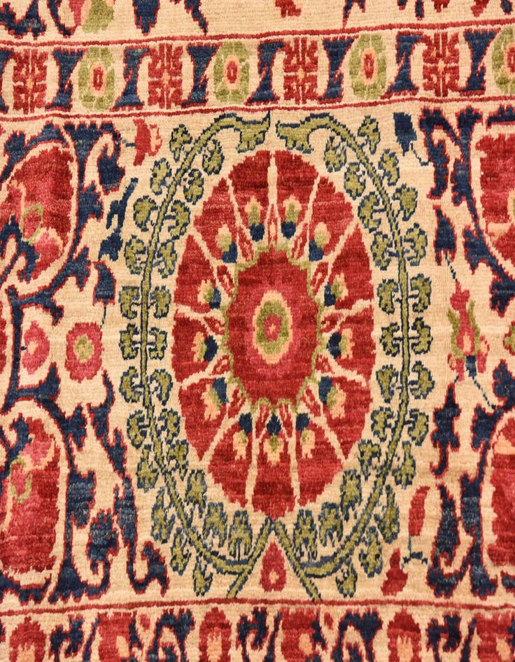 Detail image of 6' 1 x 8' 1  Hand Knotted Ariana Ziegler Oriental Rug