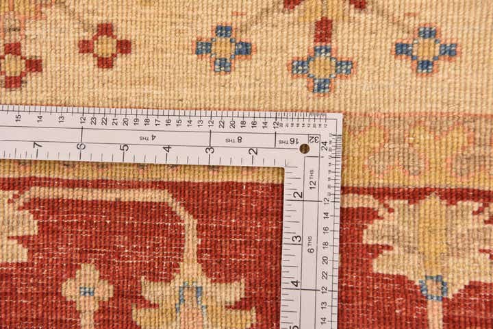 8' 3 x 11' 11 Hand Knotted Ariana Ziegler Oriental Rug
