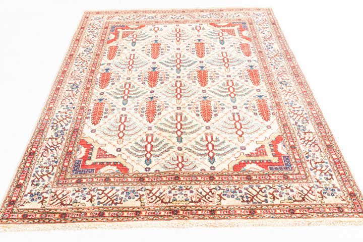 5' x 6' 7 Hand Knotted Ariana Ziegler Oriental Rug