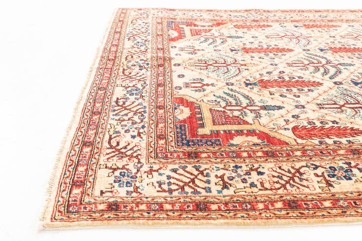 Detail image of 5' x 6' 7 Hand Knotted Ariana Ziegler Oriental Rug