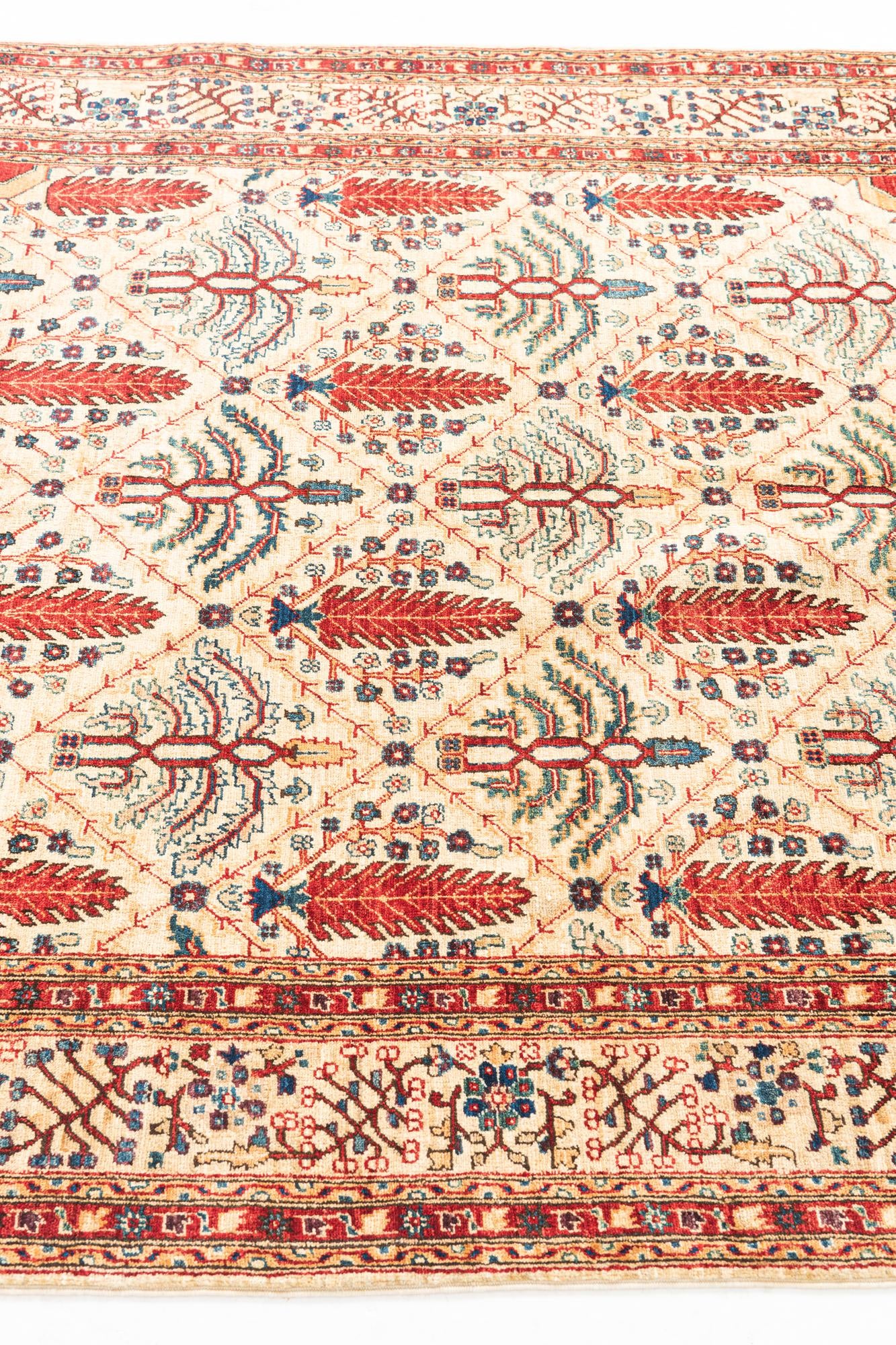 5' x 6' 7 Hand Knotted Ariana Ziegler Oriental Rug