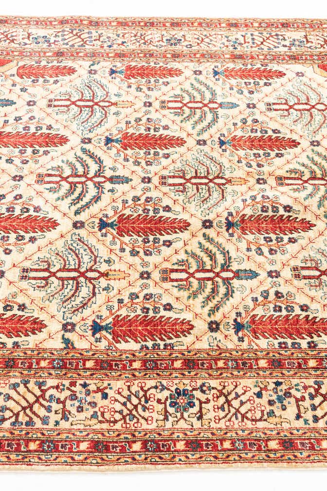5' x 6' 7 Hand Knotted Ariana Ziegler Oriental Rug