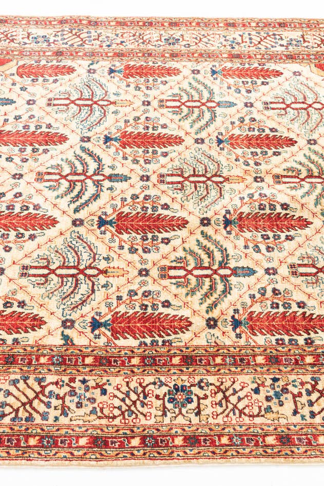 Detail image of 5' x 6' 7 Hand Knotted Ariana Ziegler Oriental Rug