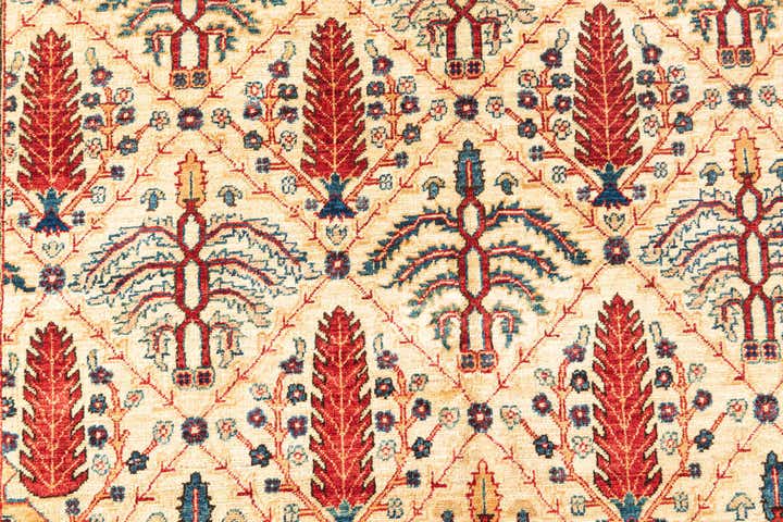 5' x 6' 7 Hand Knotted Ariana Ziegler Oriental Rug