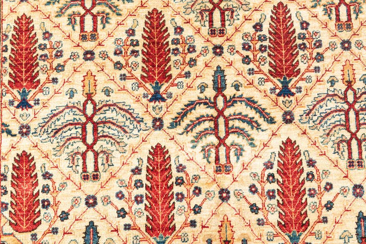 Detail image of 5' x 6' 7 Hand Knotted Ariana Ziegler Oriental Rug