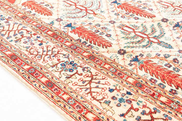 5' x 6' 7 Hand Knotted Ariana Ziegler Oriental Rug