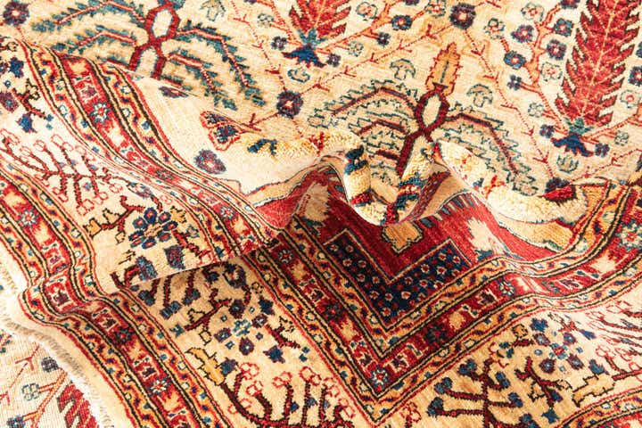 5' x 6' 7 Hand Knotted Ariana Ziegler Oriental Rug